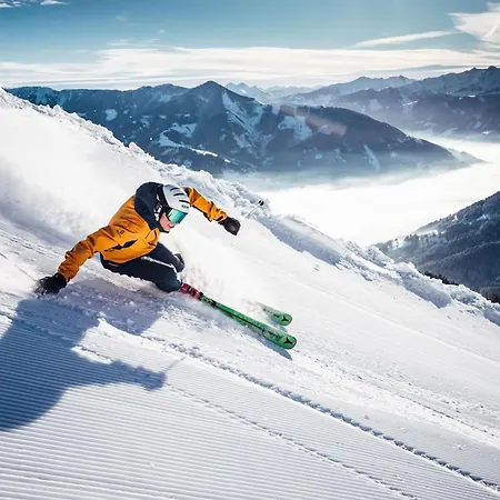 펜션 Frieda Mit Zell Am See-kaprun Summer Card