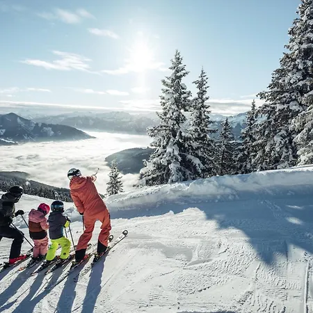 Frieda Mit Zell Am See-kaprun Summer Card 젤암제